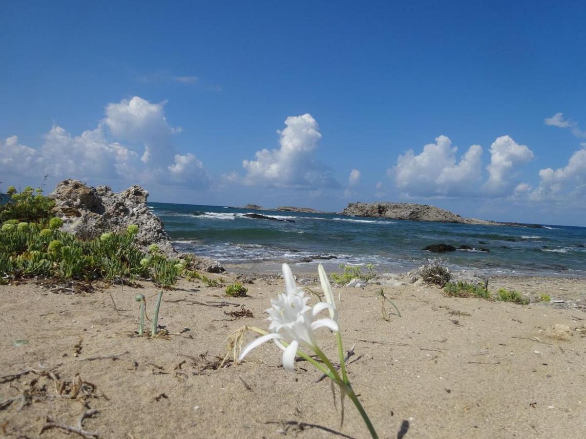 Julies Apartments Kokkini Hani Esterno foto